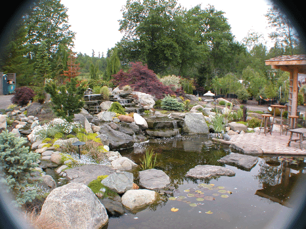 Nursery Landscape View